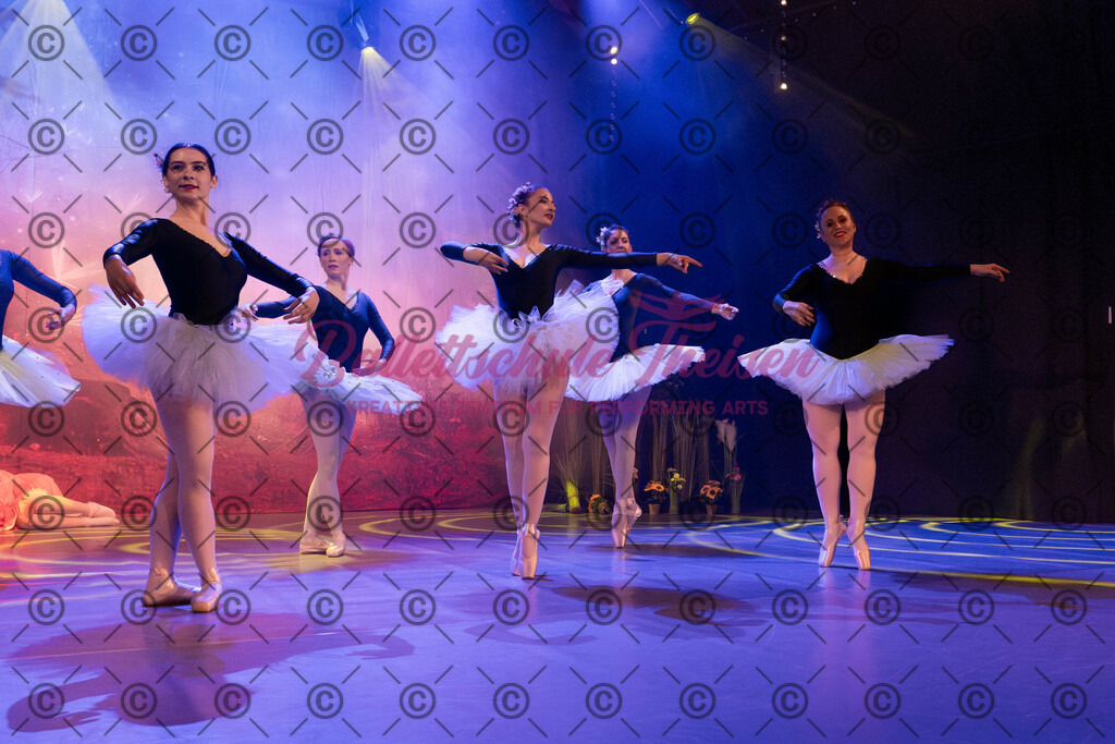 Ballettaufführung-1103 | Bildershop Lem'n Entertainment - Realisiert mit Pictrs.com