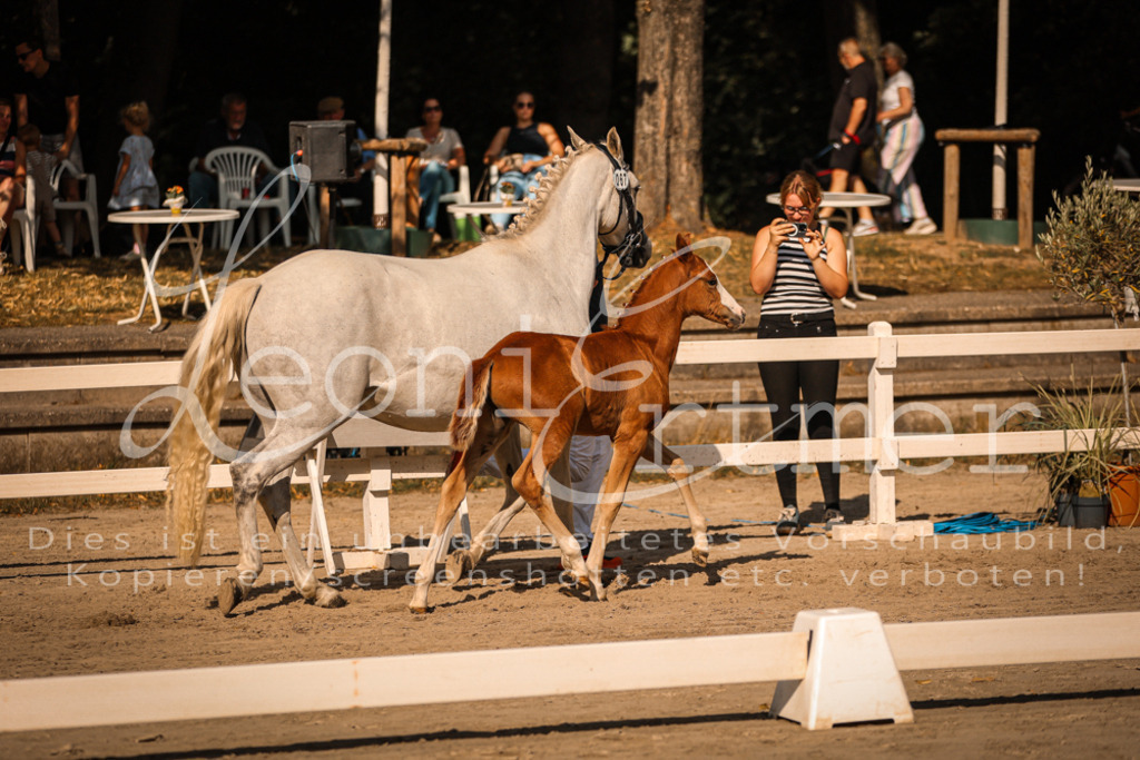 10.DoRP00212 | Leoni Ertmer Photography - Realisiert mit Pictrs.com