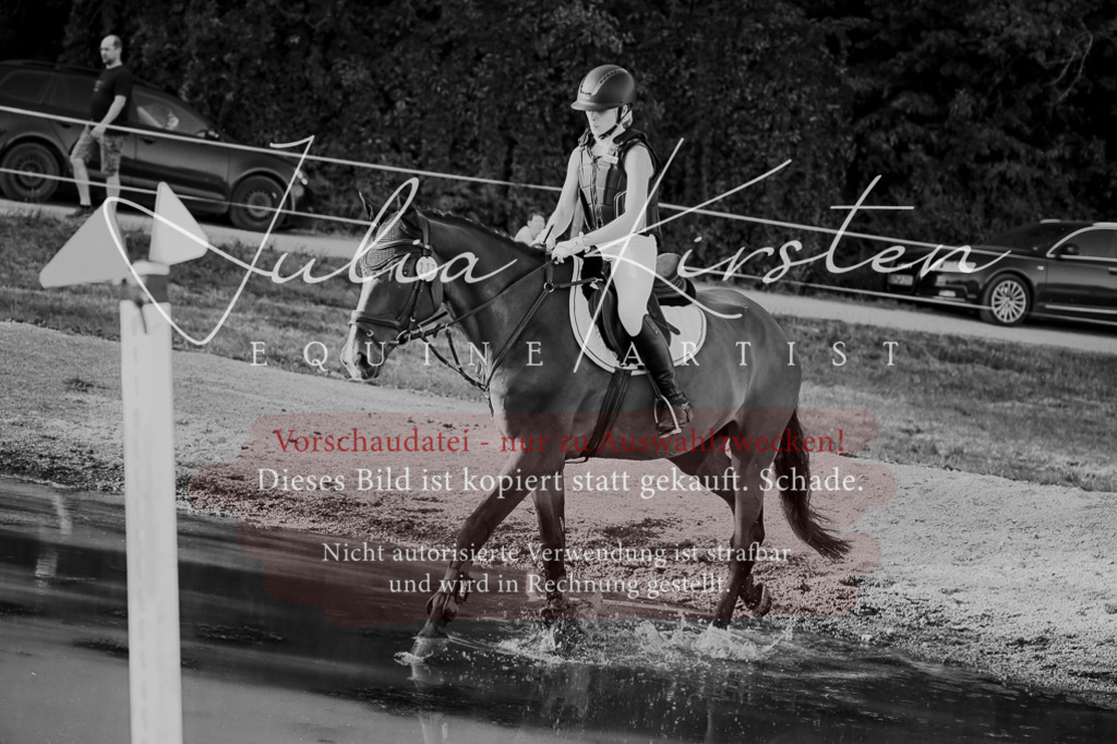 DSC_9153 | Pferde- und Turnierfotografie in Westsachsen. Pferdeportraits, Auftragszeichnungen und intuitive Kunst.