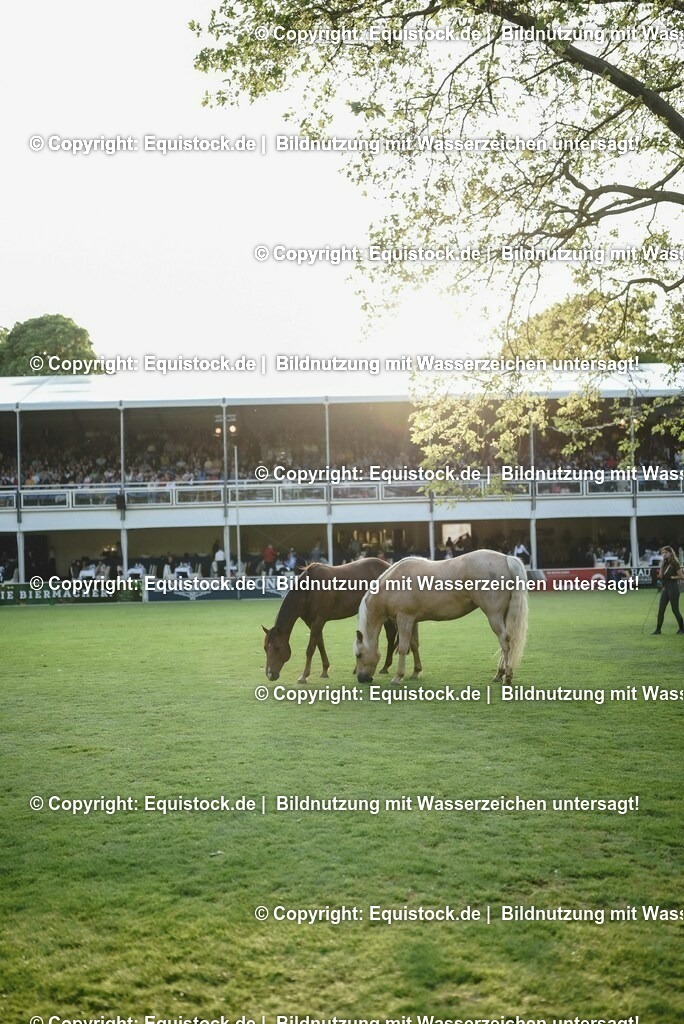 20230526_Impressionen_0332 | equistock