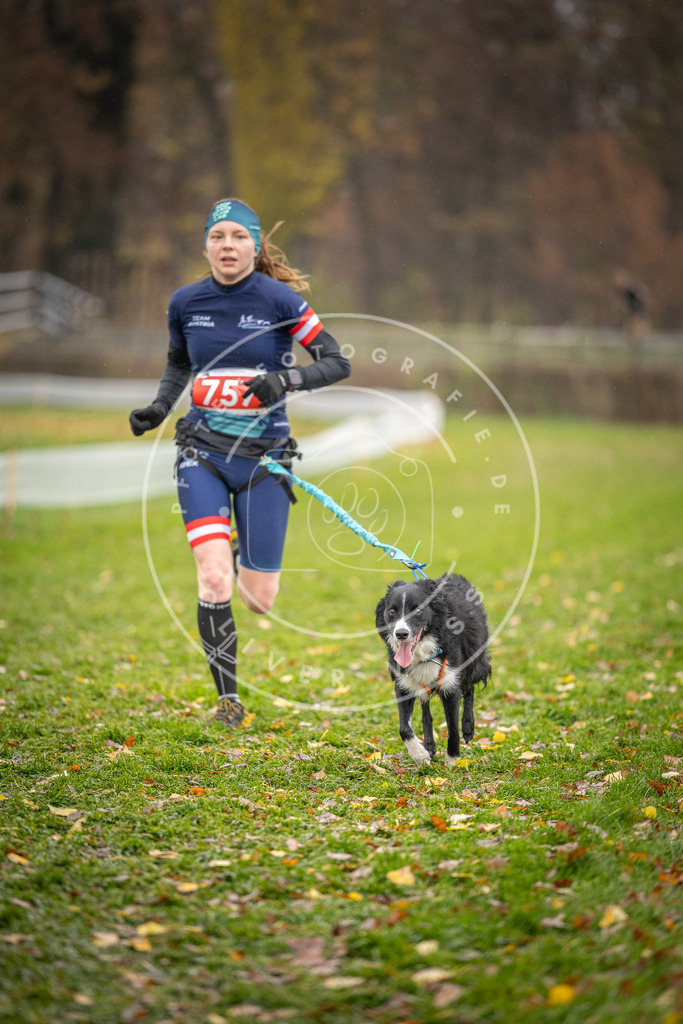 CaniXpix_DV3A9561 | Hundefotografie, Tierfotograf, Pfotenfotografie, Fotoshooting Hund, Hunde Portrait, Hundesport, Hundeportraits, Heideshooting, Hunde, Sportfotograf, Hundefotograf, Turnierhundsport, THS,  - Realisiert mit Pictrs.com