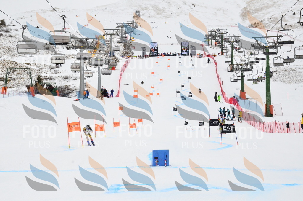 _ELE3895 | holidayphoto