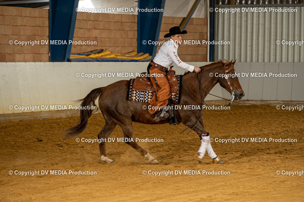 MIT00314 | dv-media-shop - Realisiert mit Pictrs.com