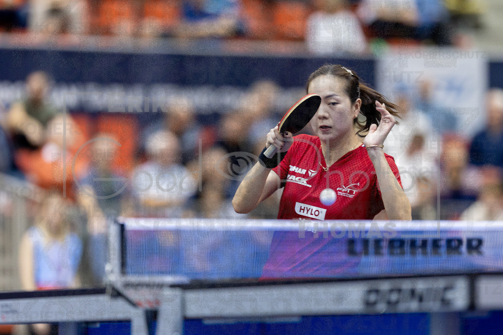 European_Championships_2024-10-17_089 | good-photos - Realisiert mit Pictrs.com