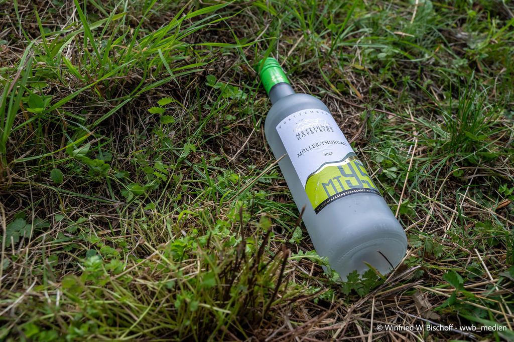 _DSC1342 | <Fotografie> <Video> <Film> <Winfried Bischoff> - Realisiert mit Pictrs.com