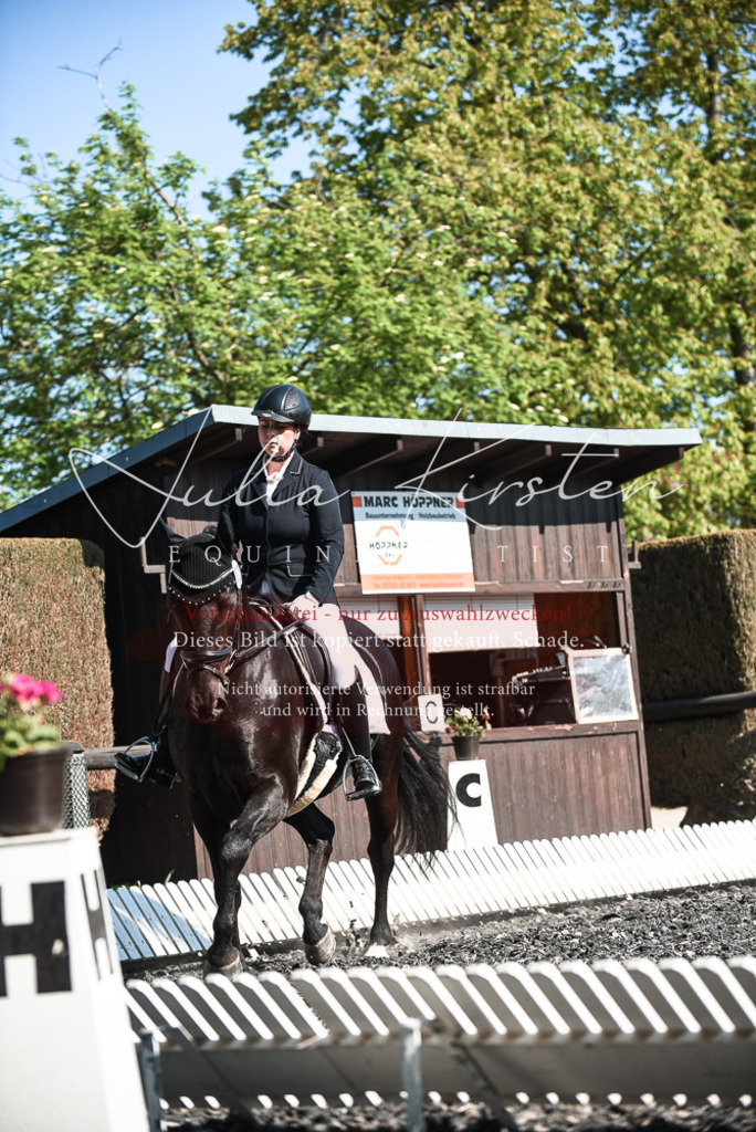 DSC_8615 | Pferde- und Turnierfotografie in Westsachsen. Pferdeportraits, Auftragszeichnungen und intuitive Kunst.