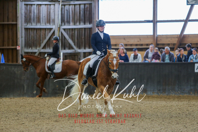 IMG_0374 | Turniersportfotografie; Pferdefotografie; Dressurfotografie