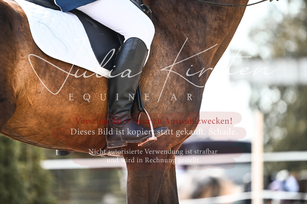 DSC_5458 | Pferde- und Turnierfotografie in Westsachsen. Pferdeportraits, Auftragszeichnungen und intuitive Kunst.