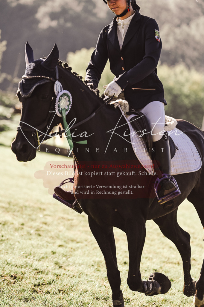 DSC_4651 | Pferde- und Turnierfotografie in Westsachsen. Pferdeportraits, Auftragszeichnungen und intuitive Kunst.