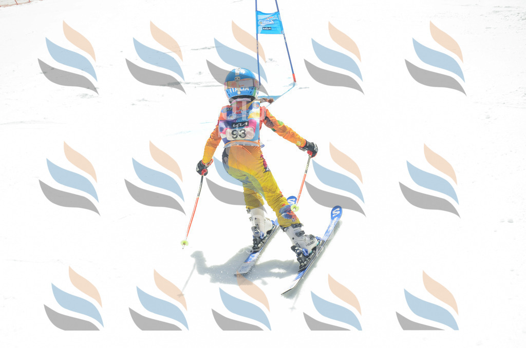 _ELE5703 | holidayphoto