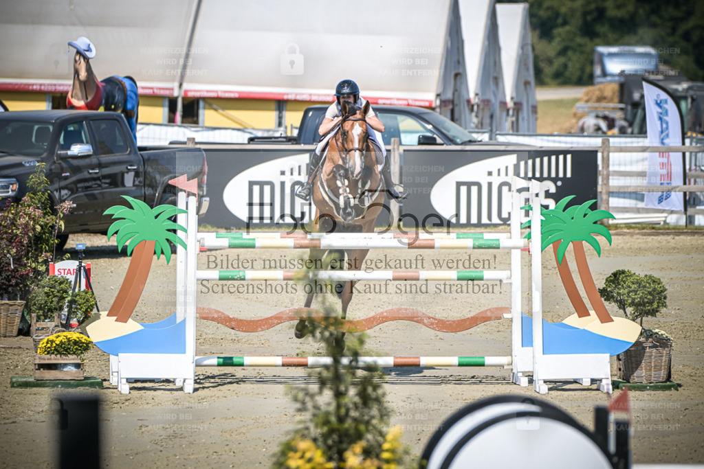 DOS_0087 | Entdecke hochwertige Reitturnierfotos von Foto Oger. Professionell, emotional und authentisch – jetzt Lieblingsmomente im Shop bestellen. - Realisiert mit Pictrs.com