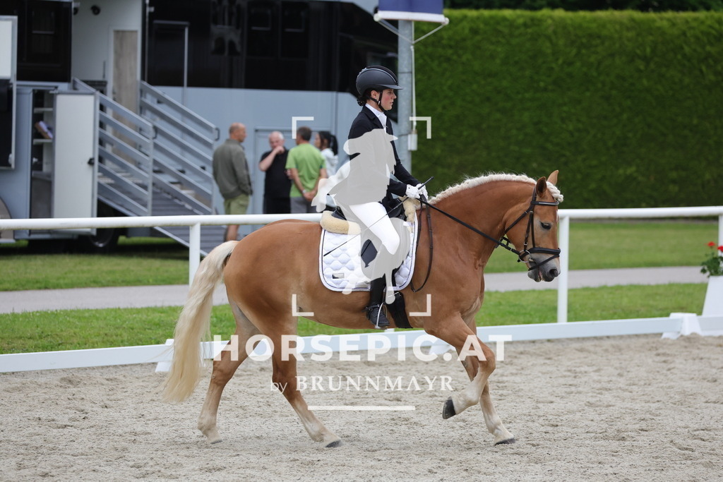 0P6A7101 | Willkommen bei Brunnmayr - Design & Fotografie – Ihrem Spezialisten für Reitturniere und Pferdeveranstaltungen in Oberösterreich, Salzburg und Bayern! Seit über 17 Jahren sind wir leidenschaftlich dabei.