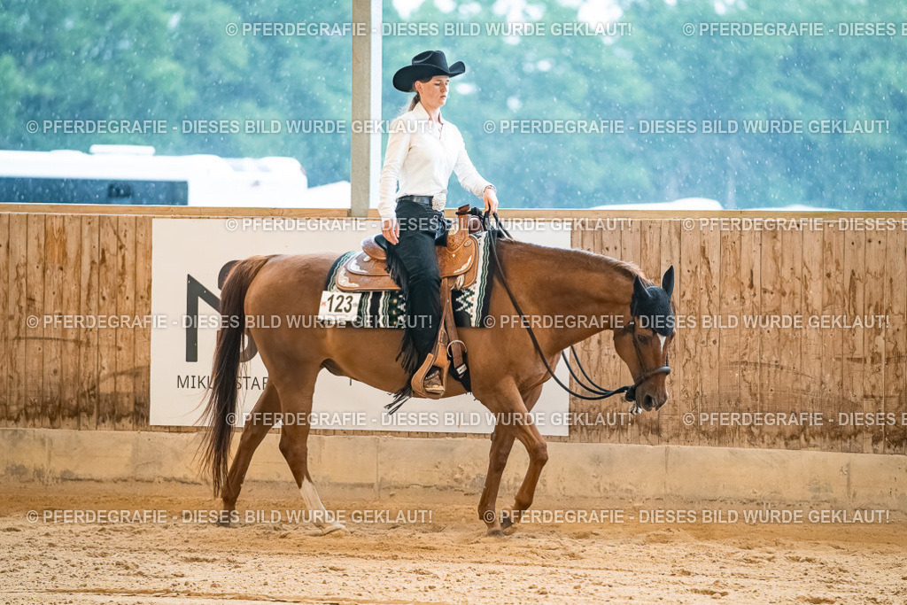 DSC00041 | Pferdegrafie