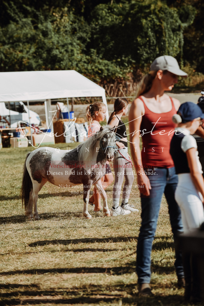 DSC_6014 | Pferde- und Turnierfotografie in Westsachsen. Pferdeportraits, Auftragszeichnungen und intuitive Kunst.