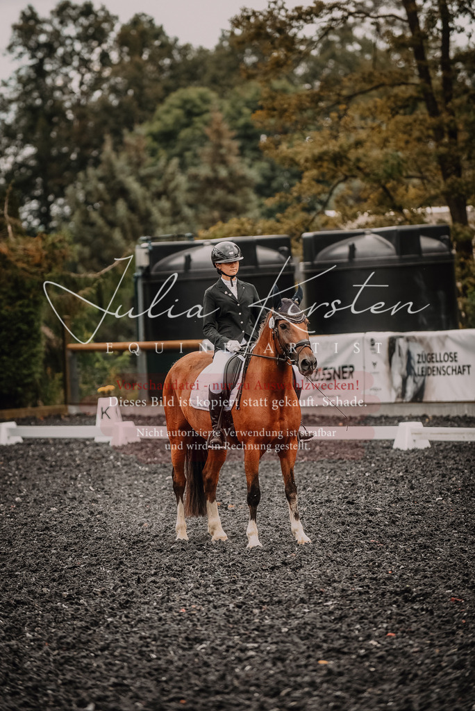 DSC_4480 | Pferde- und Turnierfotografie in Westsachsen. Pferdeportraits, Auftragszeichnungen und intuitive Kunst.