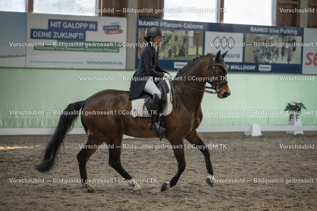 _D5A0709 | Emotionale Pferde- & People-Fotografie rund um Heidelberg, Leimen & Umgebung. Natürliche Fotos von Pferd, Mensch & Familie. Jetzt Termin sichern!