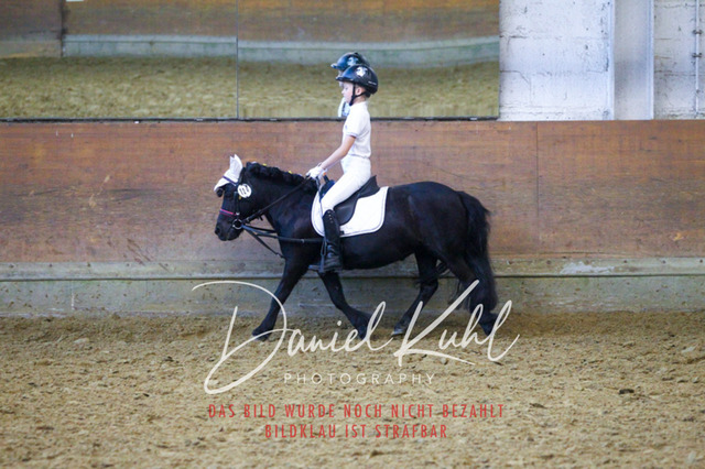 DKP44411 | Turniersportfotografie; Pferdefotografie; Dressurfotografie