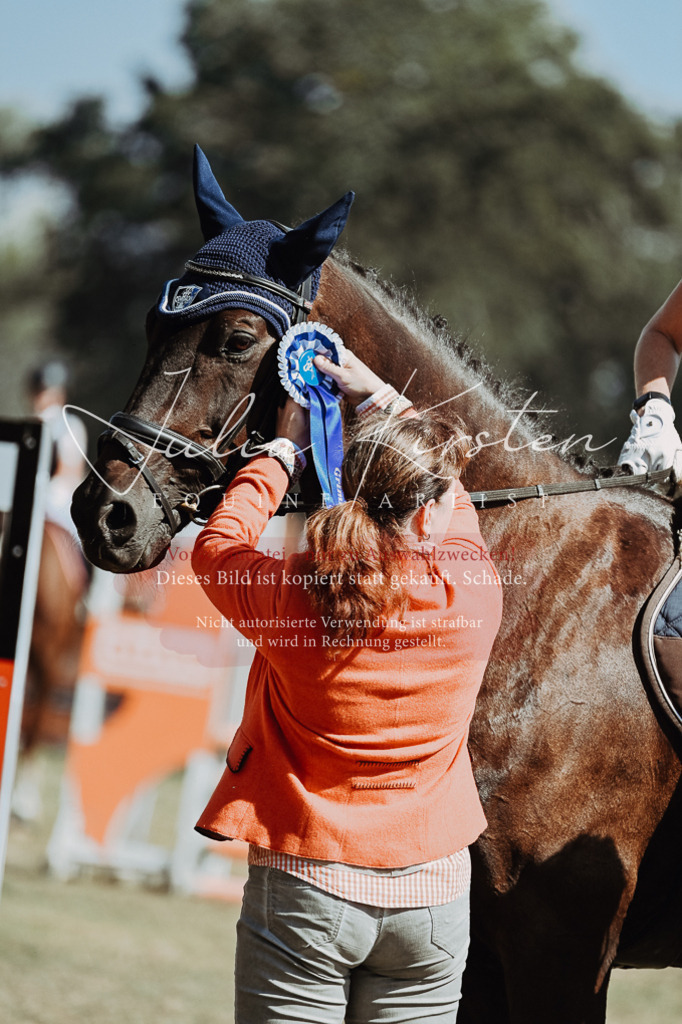 DSC_0089 | Pferde- und Turnierfotografie in Westsachsen. Pferdeportraits, Auftragszeichnungen und intuitive Kunst.