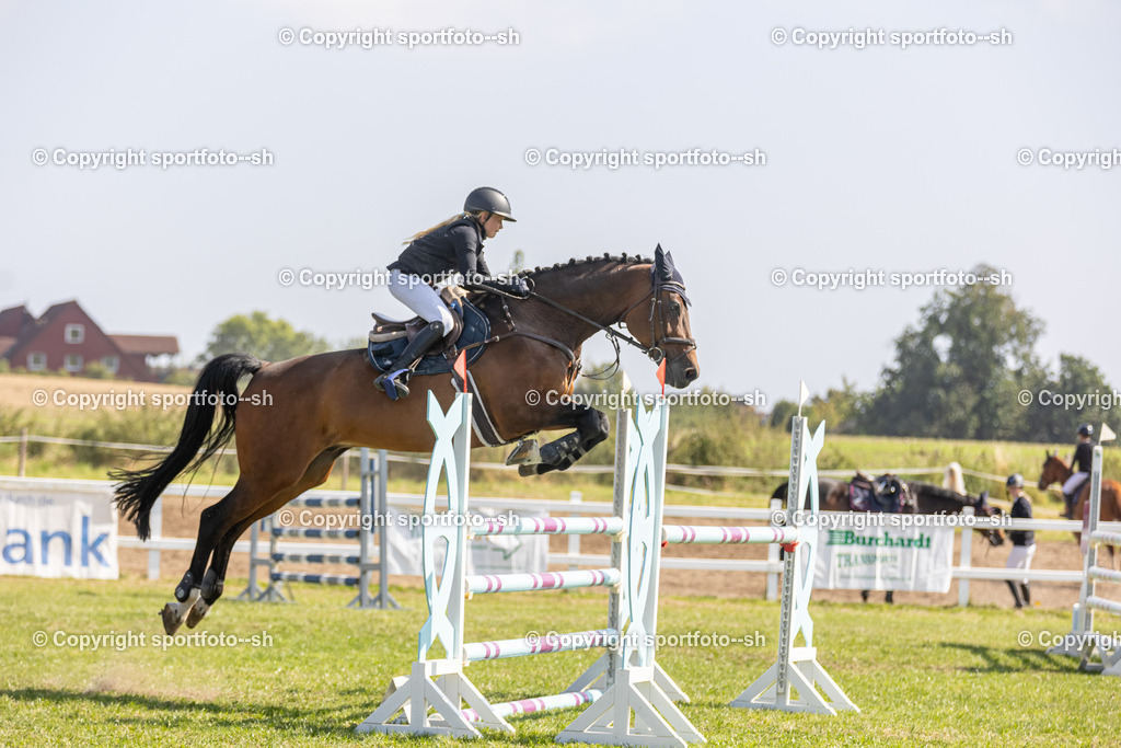 240831-VW-IS6A4194 | Sportfoto SH - Realisiert mit Pictrs.com