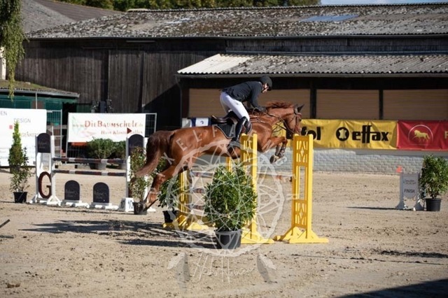 2B4A0663 | pixelfaenger - Realisiert mit Pictrs.com