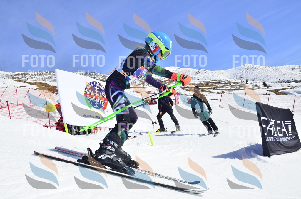 _ELE0544 | holidayphoto