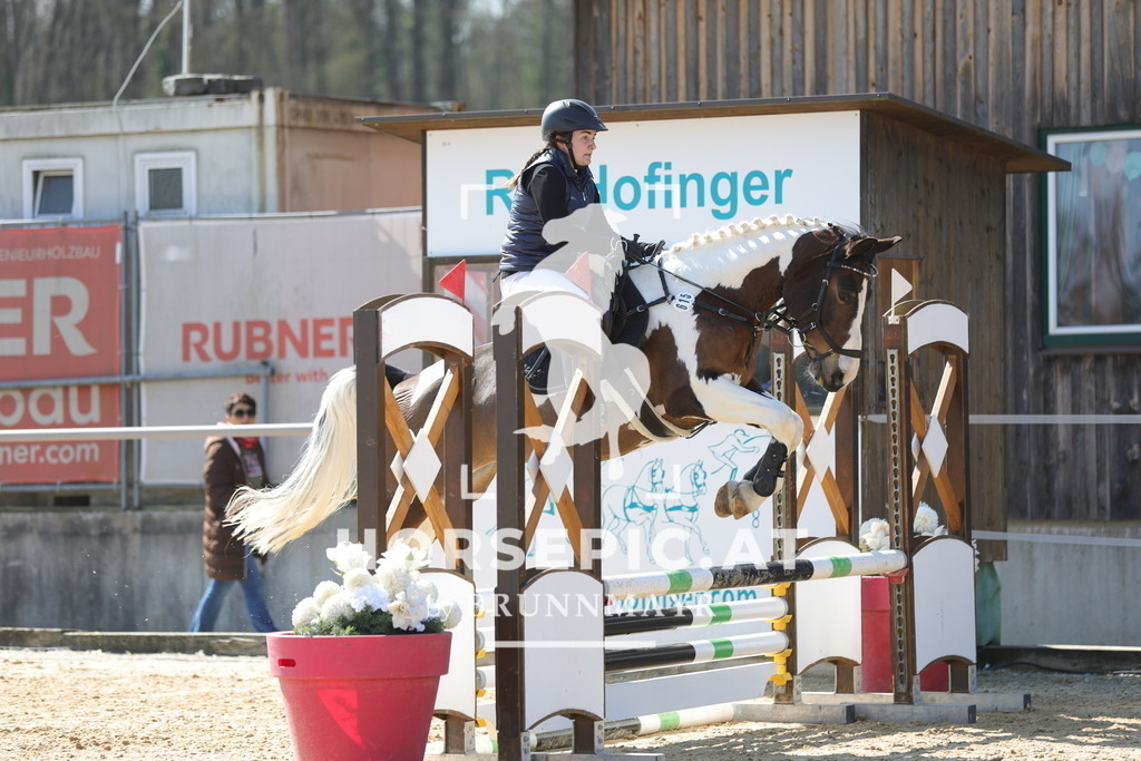 0P6A6665 | Willkommen bei Brunnmayr - Design & Fotografie – Ihrem Spezialisten für Reitturniere und Pferdeveranstaltungen in Oberösterreich, Salzburg und Bayern! Seit über 17 Jahren sind wir leidenschaftlich dabei.