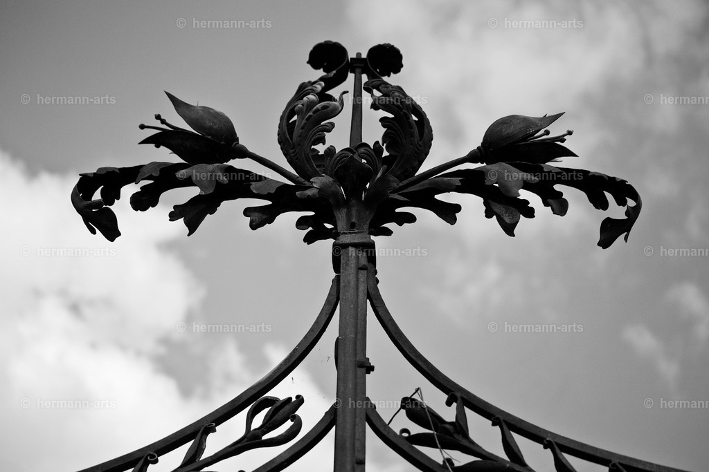 Hermann-Arts_Barockes Tor_005 | Photo Foto Kunst Art schwarzweiss Bilder Rheine Münster Berlin Blumen 