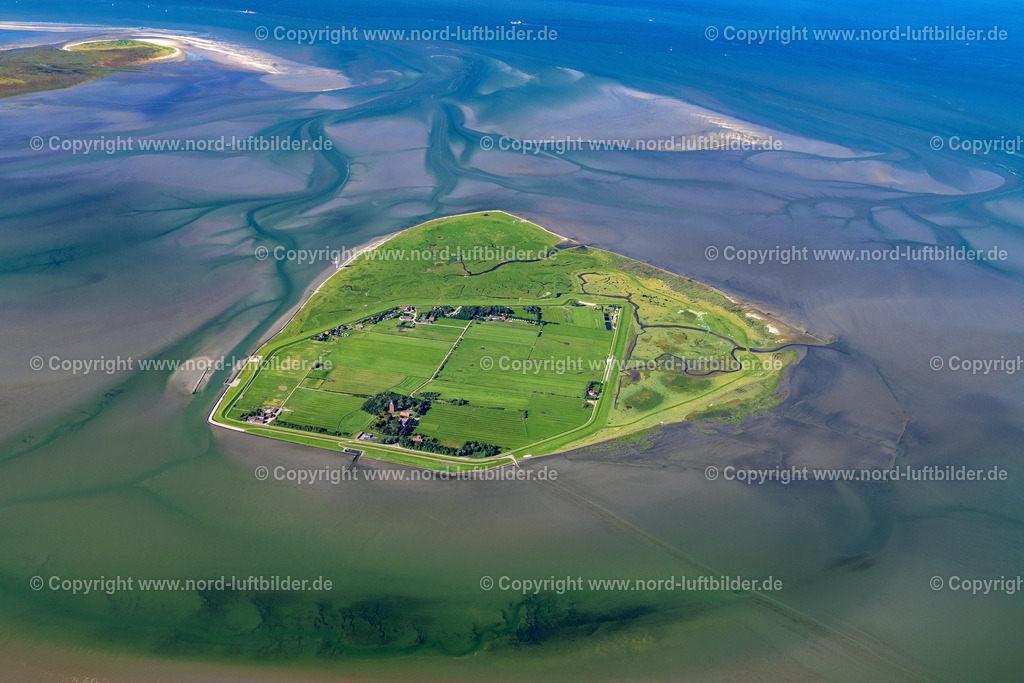 Neuwerk_ELS_8745160823 | INSEL NEUWERK 16.08.2023 Küstenbereich der Nordsee - Insel Neuwerk im Wattenmeer im Bundesland Niedersachsen, Deutschland. // Coastal area of the North Sea - Insel Neuwerk in the Wadden Sea in the state Lower Saxony, Germany. Foto: Martin Elsen