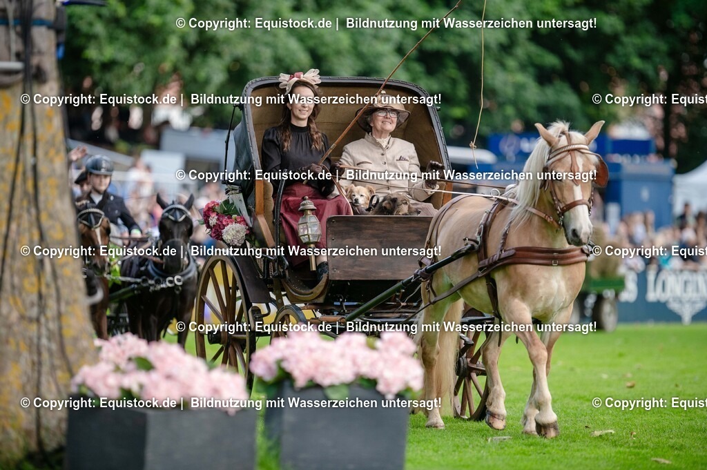 20250606_Lange-Pferdenacht_0089 | Foto: Thomas Hartig