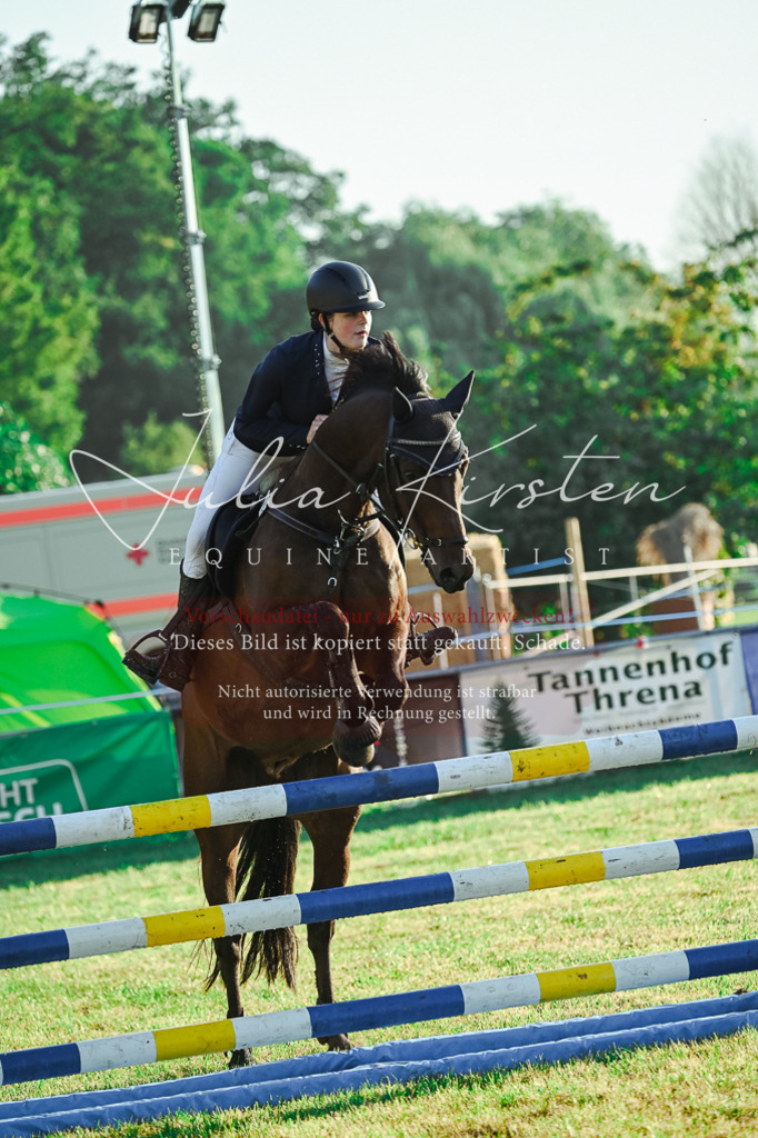 DSC_3971 | Pferde- und Turnierfotografie in Westsachsen. Pferdeportraits, Auftragszeichnungen und intuitive Kunst.