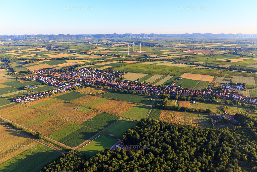 Luftbild: Ortsansicht von Südosten in Freckenfeld im Bundesland Rheinland-Pfalz in Deutschland. Foto: IMG_007782.jpg vom 21.06.2020 durch Werner Riehm/FLY-FOTO.de