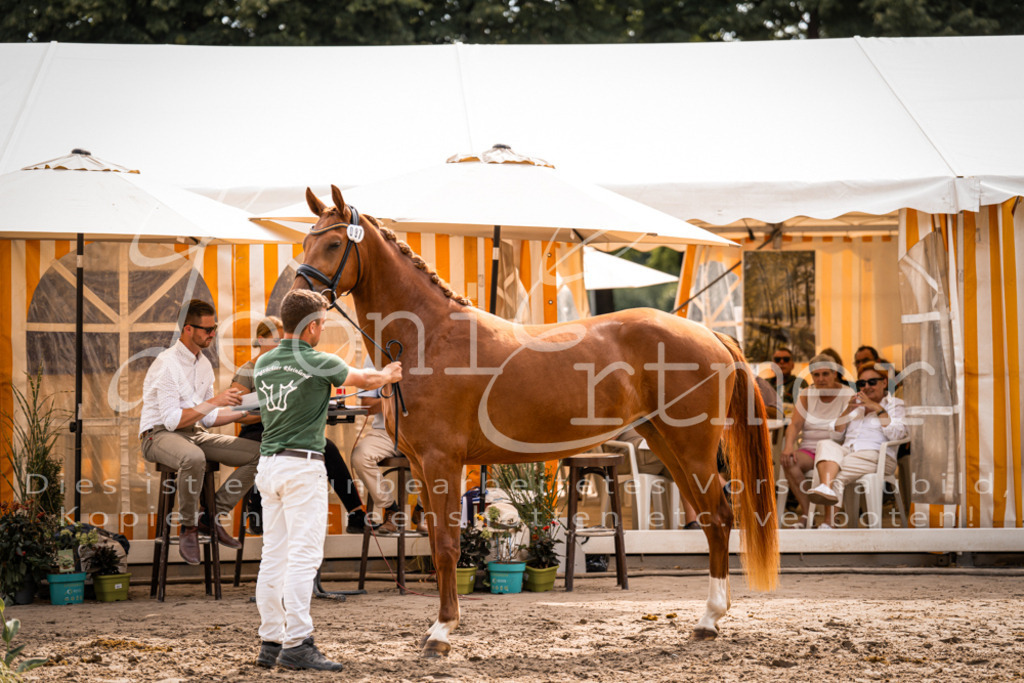 7.Fr00040 | Leoni Ertmer Photography - Realisiert mit Pictrs.com