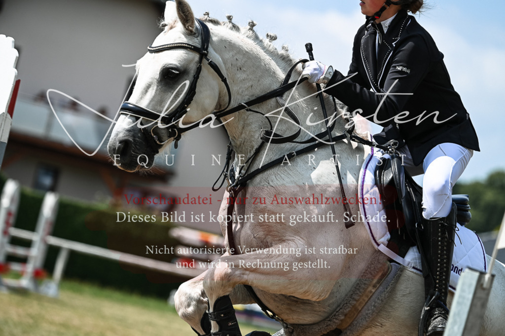 DSC_9418 | Pferde- und Turnierfotografie in Westsachsen. Pferdeportraits, Auftragszeichnungen und intuitive Kunst.