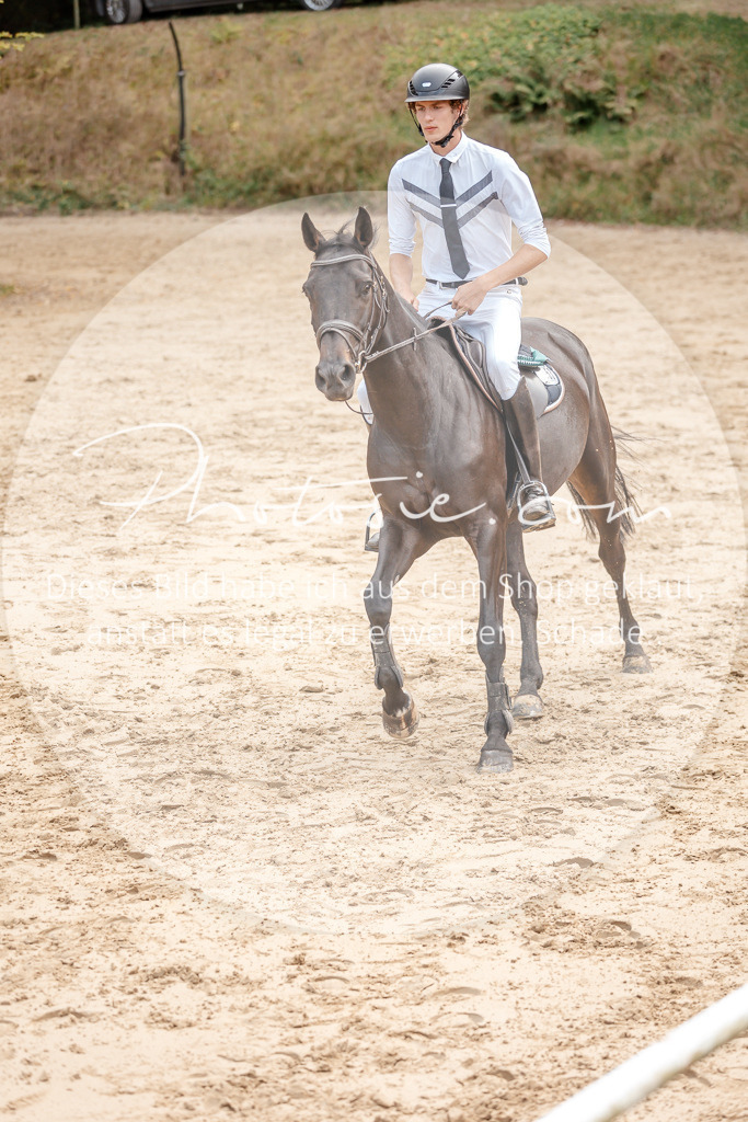 3I6A5396 | Stimmungsvolle Portraits und Reitsportfotografie im Ruhrgebiet und im Münsterland.

Pferdefotografie, Hundefotografie, Tierfotografie, Reportagen, Portraits von Tier und Mensch, Turnierfotografie in Bochum, Recklinghausen, Marl, Haltern am See, Dülmen.. - Realisiert mit Pictrs.com