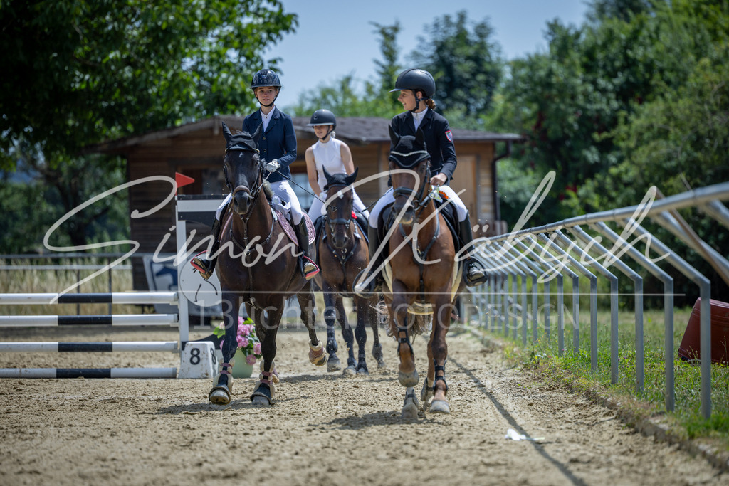 20260704-_3LI9215 | Tierfotografie Pferde, Hunde, Katzen, Haustiere.
Turnierfotografie Reitturniere, Reiten, Springreiten, Dressur in Hanau, dem Main-Kinzig-Kreis und dem Rhein-Main- Gebiet um Frankfurt