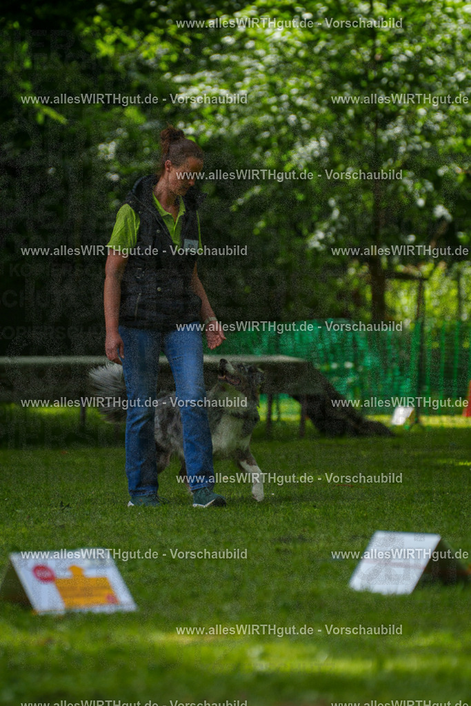 @allesWIRTHgut_Tierfotografie - www.allesWIRTHgut.de - 7R505918 | Professionelle Tierfotografie in Mönchengladbach von Daniel Wirth (allesWIRTHgut). Liebevolle & natürliche Bilder von Hunden & Katzen für unvergessliche Erinnerungen.