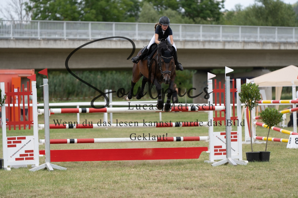 A7V02326 | Pferdefotograf