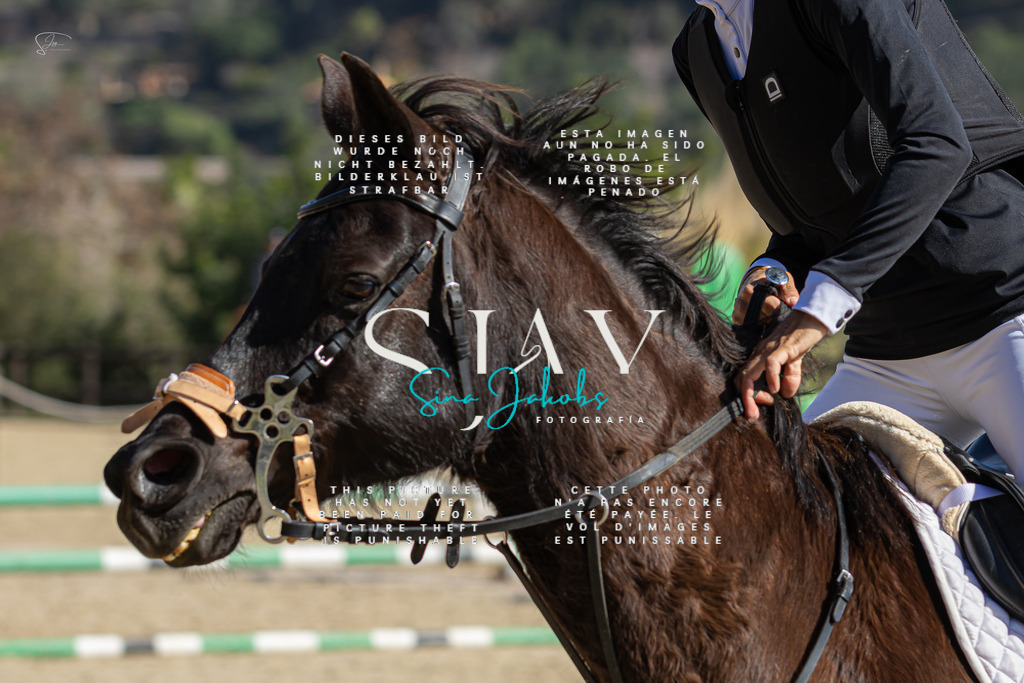 IMG_6256 | s-jay-photography - Realisiert mit Pictrs.com