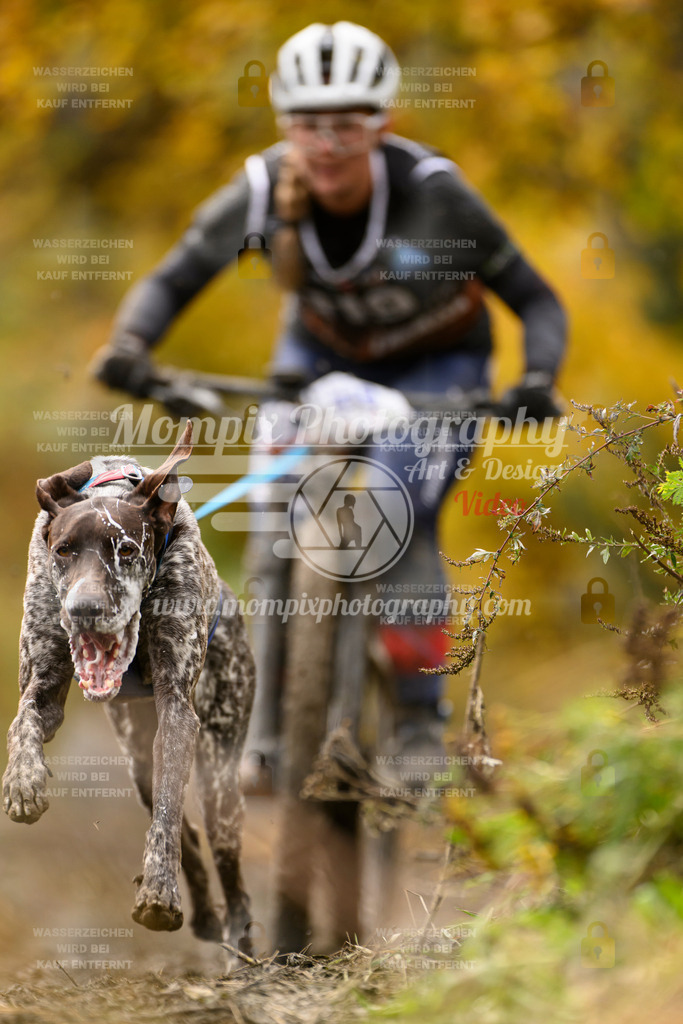 MompixPhotography_ICF_WC_2024_SA_Bike_-95 | PayLife