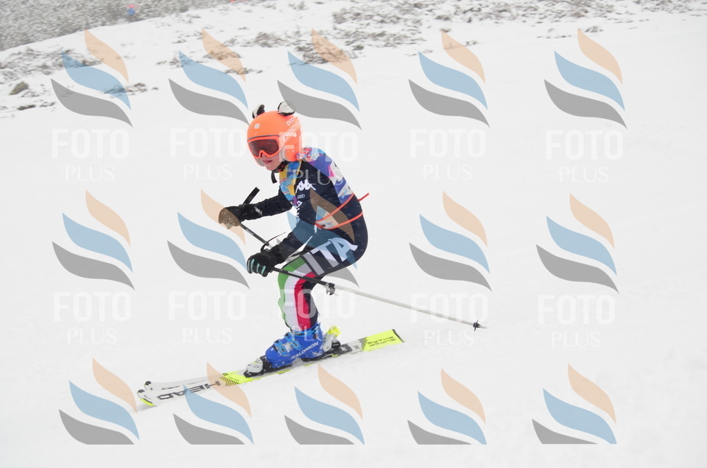 C0652 | holidayphoto