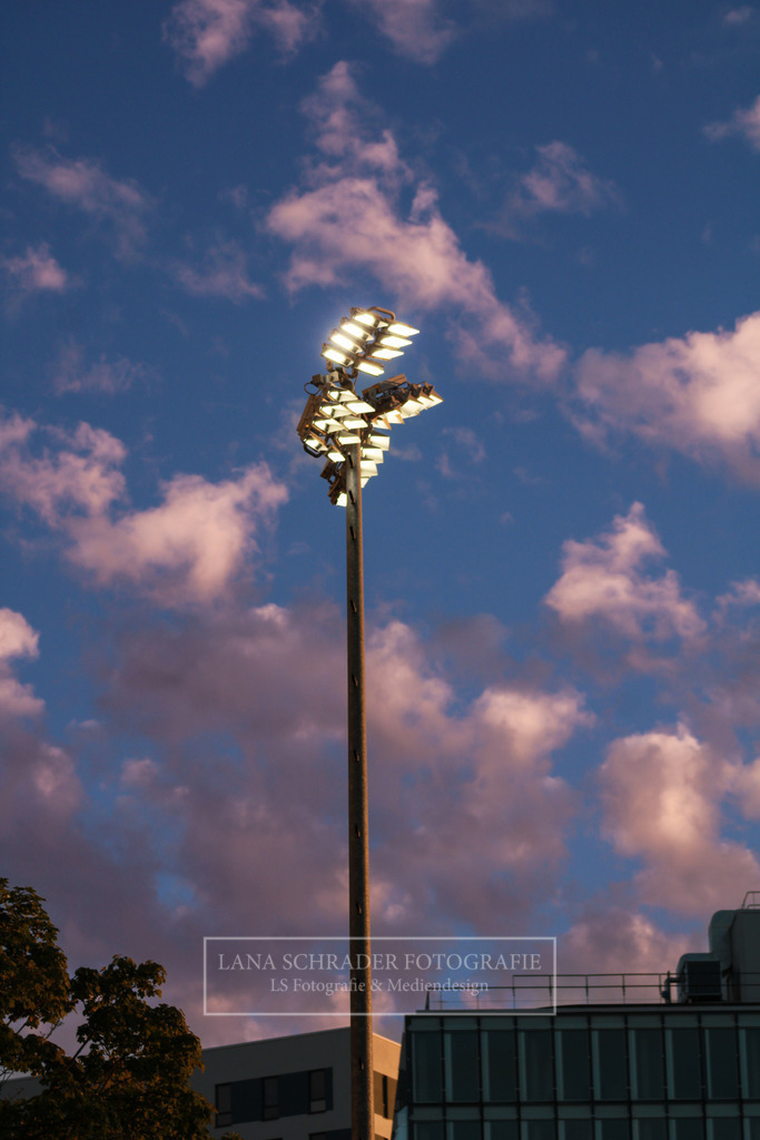 U21 M 4 Nationen Turnier Deutschland - Indien 19.08.23-112 | lanaschraderfotografie - Realisiert mit Pictrs.com