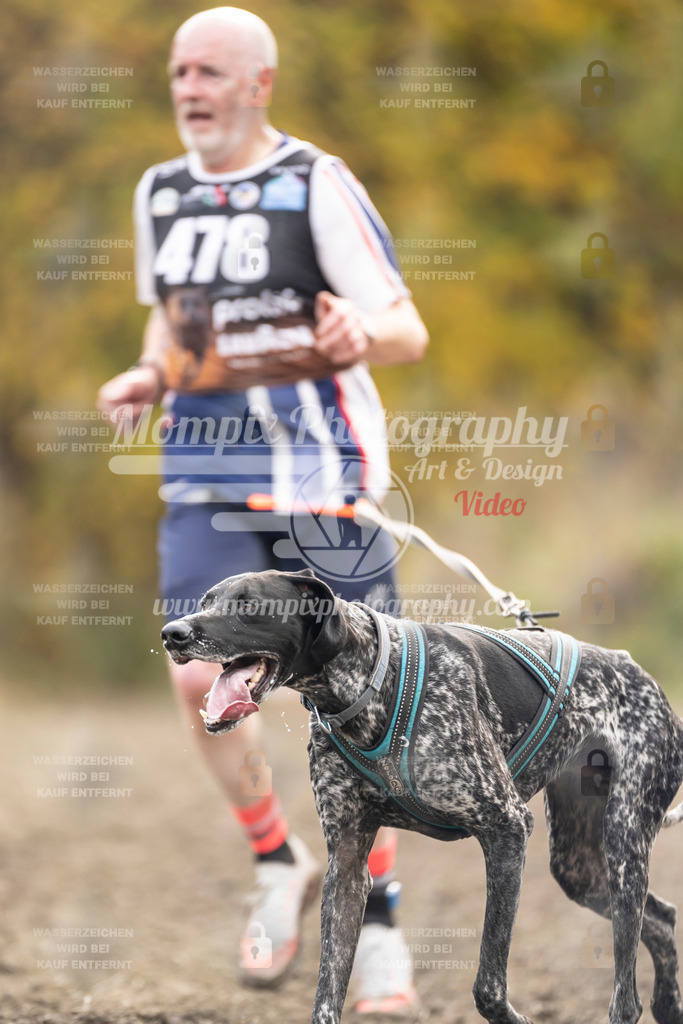 MompixPhotography_ICF_WC_2024_SA_Run_-489 | PayLife