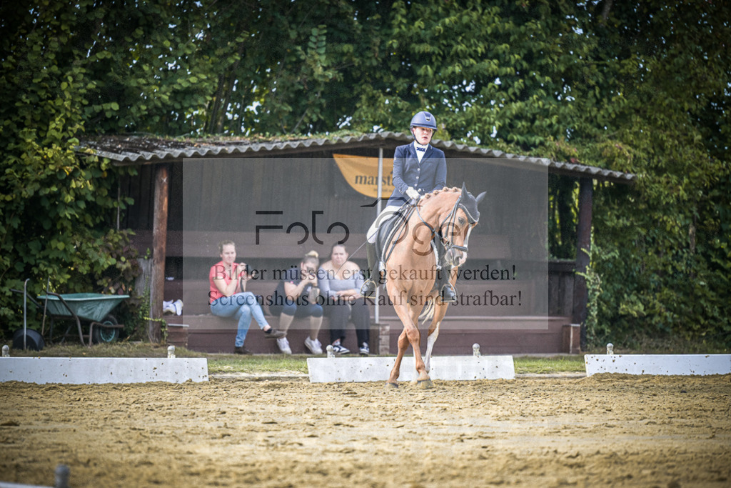 DOS_0043 | Entdecke hochwertige Reitturnierfotos von Foto Oger. Professionell, emotional und authentisch – jetzt Lieblingsmomente im Shop bestellen.Deutschlandweite Turnierfotografie. - Realisiert mit Pictrs.com