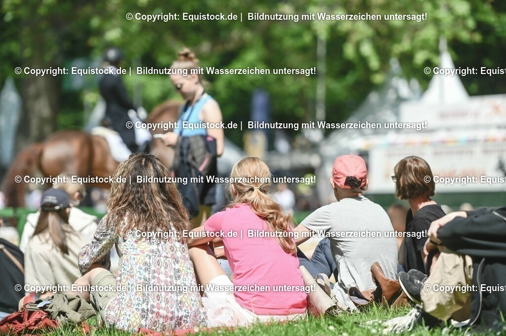 D78_2920 | equistock