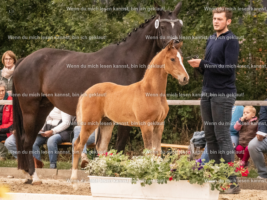 A10I1469 | photographylinaismer - Realisiert mit Pictrs.com