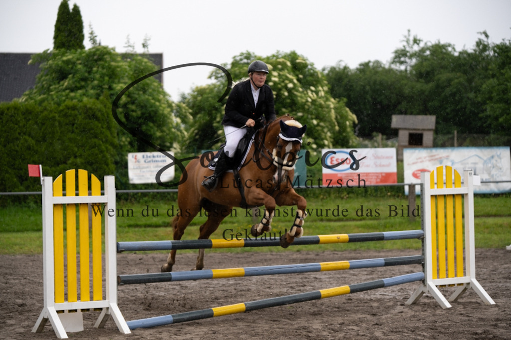 A7V04007 | Pferdefotograf