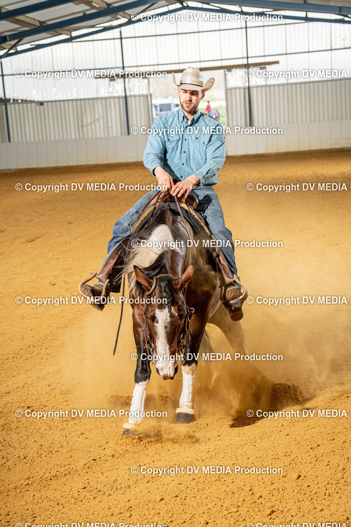 MIT01100 | dv-media-shop - Realisiert mit Pictrs.com