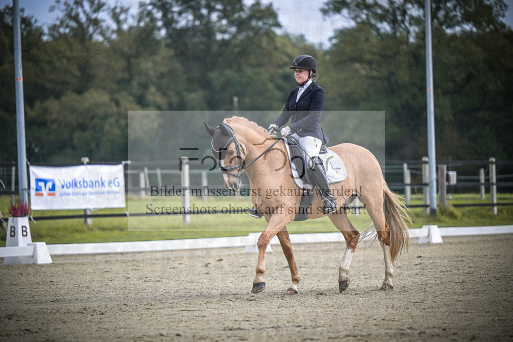 DOS_B530 | Entdecke hochwertige Reitturnierfotos von Foto Oger. Professionell, emotional und authentisch – jetzt Lieblingsmomente im Shop bestellen.Deutschlandweite Turnierfotografie. - Realisiert mit Pictrs.com