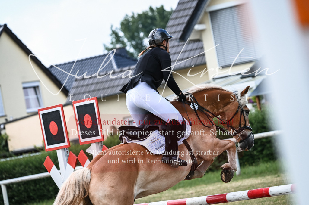 DSC_8105 | Pferde- und Turnierfotografie in Westsachsen. Pferdeportraits, Auftragszeichnungen und intuitive Kunst.