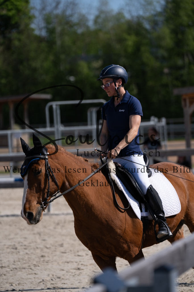 A7V01940 | Pferdefotograf